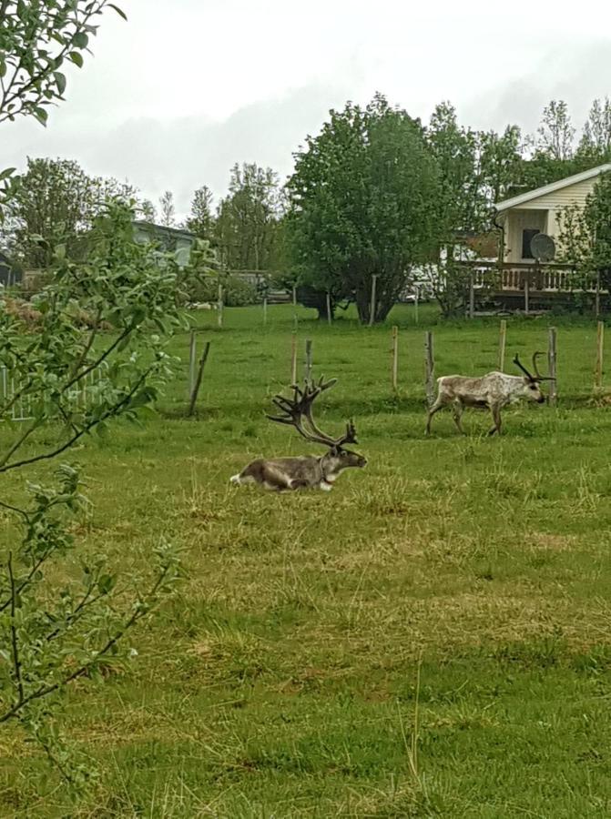 Nydelig Utsikt, Egen Leilighet Med To Parkeringer Movik  Exterior foto