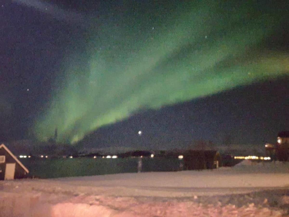Nydelig Utsikt, Egen Leilighet Med To Parkeringer Movik  Exterior foto